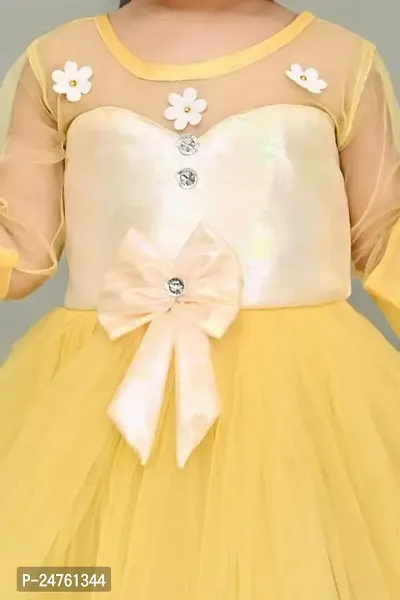 FB Empire Girls' NetCasual Knee Length Dress (M003)-thumb3