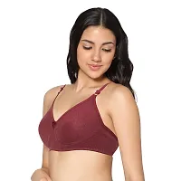 In Care LINGERIE Soha (B) M.Maroon Solid Color Full-Coverage T-Shirt Bra.-thumb2