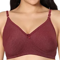 In Care LINGERIE Soha (B) M.Maroon Solid Color Full-Coverage T-Shirt Bra.-thumb1