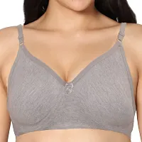 In Care LINGERIE Soha (B) Grey Solid Color Full-Coverage T-Shirt Bra.-thumb2