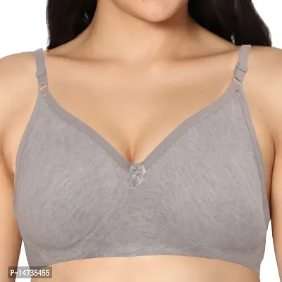 In Care LINGERIE Soha (B) Grey Solid Color Full-Coverage T-Shirt Bra.-thumb3