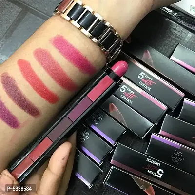 5 in 1 lipstick