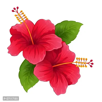 Fulmala Nursery Hybrid Hibiscus Plant[FM1327]