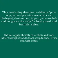 Biotique Bio Ocean Kelp Anti Hair Fall Shampoo Intenstive Hair Growth Therapy, 650ml-thumb4