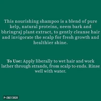 Biotique Bio Ocean Kelp Anti Hair Fall Shampoo Intenstive Hair Growth Therapy, 650ml-thumb5