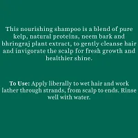 Biotique Bio Ocean Kelp Anti Hair Fall Shampoo Intenstive Hair Growth Therapy, 650ml-thumb3