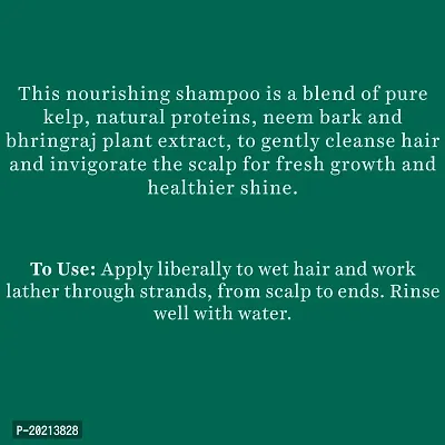 Biotique Bio Ocean Kelp Anti Hair Fall Shampoo Intenstive Hair Growth Therapy, 650ml-thumb4