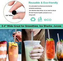 Sizzling Reusable Stainless Steel Drinking Straws, 8.5 Inches-thumb2
