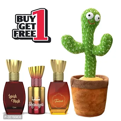 Combo of Dancing cactus With Luxury Royal Oud Original White Oud Premium Arabic Attar pack of 4