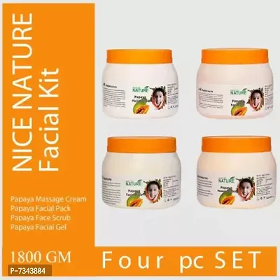 NICE NATURE Papaya Facial Kit Parlour Pack  (4 x 450 g)-thumb0