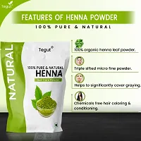 Tegut Henna Fresh powder hair color-thumb2