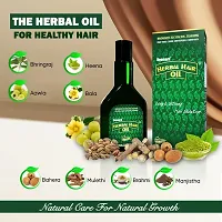 Herbal Hair Growth Hair Oil, Combo-thumb3