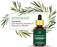 Nuerma Science Rosemary Essential Oil 100% Pure Therapeutic Grade For Fast Hair Growth  Anti Hair Fallnbsp;(15ml)-thumb1