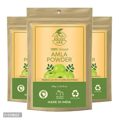 Khadi Ark 100% Natural Amla Powder Anti Dandruff & Anti Hair Fall Hair Care Powder (Edible) (Pack of 3, 100 GM Each) (300 GM)