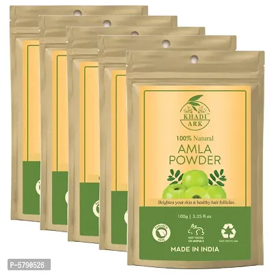Khadi Ark 100% Natural Amla Powder Anti Dandruff  Anti Hair Fall Hair Care Powder (Edible) (Pack of 5, 100 GM Each) (500 GM)