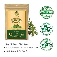 Khadi Ark Bhringraj Powder for Strong & Healthy Hair (Pack of 3, 100 GM Each) (300 GM)-thumb1