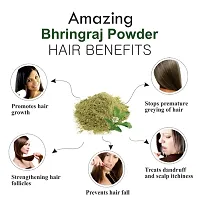 Khadi Ark Bhringraj Powder for Strong & Healthy Hair (Pack of 3, 100 GM Each) (300 GM)-thumb2