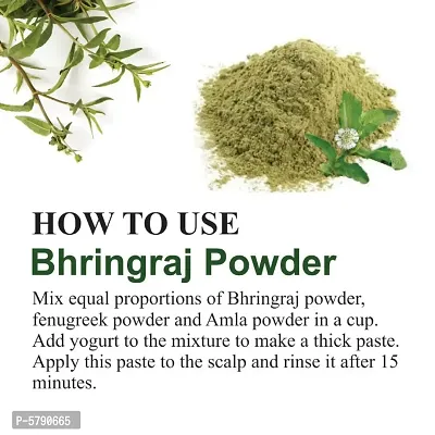 Khadi Ark Bhringraj Powder for Strong & Healthy Hair (Pack of 3, 100 GM Each) (300 GM)-thumb5