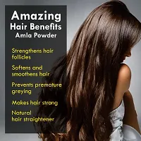 Khadi Ark 100% Natural Amla Powder Anti Dandruff  Anti Hair Fall Hair Care Powder (Edible) 100 GM-thumb2