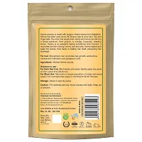 Khadi Ark Bio Organic Herbal Henna Powder (Pack Of 3, 100 GM Each) (300 GM)-thumb1