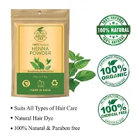 Khadi Ark Bio Organic Herbal Henna Powder (Pack Of 3, 100 GM Each) (300 GM)-thumb2