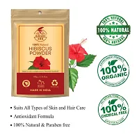 Khadi Ark Hibiscus Powder for Anti Dandruff, Itchy Scalp and Grey to Black Hair (Grey to Black Hair When Used with Henna) (Pack of 5, 100 GM Each) (500 GM)-thumb1