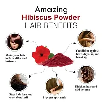 Khadi Ark Hibiscus Powder for Anti Dandruff, Itchy Scalp and Grey to Black Hair (Grey to Black Hair When Used with Henna) (Pack of 5, 100 GM Each) (500 GM)-thumb3