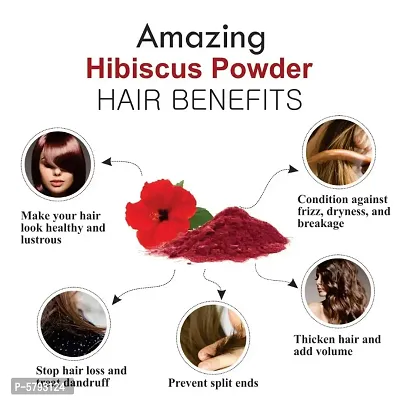 Khadi Ark Hibiscus Powder for Anti Dandruff, Itchy Scalp and Grey to Black Hair (Grey to Black Hair When Used with Henna) (Pack of 3, 100 GM Each) (300 GM)-thumb4