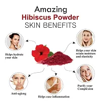 Hibiscus Powder for Anti Dandruff, Itchy Scalp and Grey to Black Hair (Grey to Black Hair When Used with Henna) 100 GM-thumb4