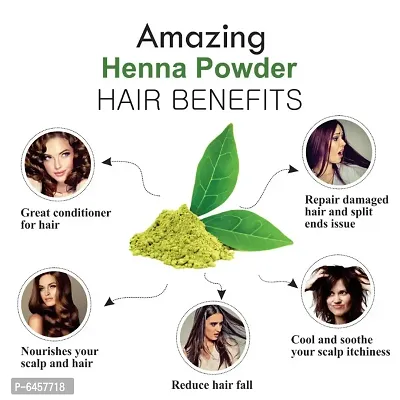 Khadi Ark Henna Hair Care Powder Organic Herbal for Natural Black Shiny Healthy Hair Growth and Reduce Hair Fall, Frizzy Hair (100 GM Each Pack of 2) 200 GM-thumb2