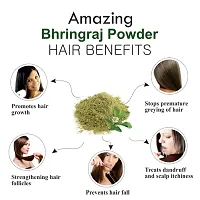 Khadi Ark Bhringraj Powder Natural Organic for Strong Healthy Hair Growth and Reduce Hair Fall, Dandruff, Graying Hair (100 GM Each, Pack of 4) 400 GM-thumb1