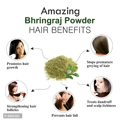 Khadi Ark Bhringraj Powder Natural Organic for Strong Healthy Hair Growth and Reduce Hair Fall, Dandruff, Graying Hair (100 GM Each, Pack of 3) 300 GM-thumb2