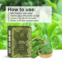 Nuerma Science Henna and Shikakai Powder Natural Organic for Cleansing Hair/Scalp Removes Dandruff, Lice and Provide Soft, Silky Black Strong Healthy Hair ( 100 GM Each, Pack of 4) 400 GM-thumb4