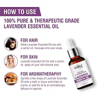 Skiura 100% Pure Lavender Essential oil for Strong Healthy Hair, Good Sleep, Aromas  Reduce Wrinkles, Dry Skin-30ml-thumb2