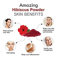 Khadi Ark Hibiscus Powder For Face Pack  Hair Care-thumb3