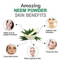 Khadi Ark Neem Powder Natural Organic for Deeply Cleansing Skin  Reduce Acne, Pimple Blackheads, Whitehead(100 GM)-thumb1