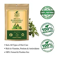 Khadi Ark Bhringraj Powder - 100 GM-thumb2