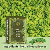 Nuerma Science Organic Henna Powder Hair Color (100 gm)-thumb1