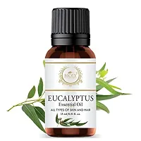 Bioly Eucalyptus Essential Oil (100% Natural  Pure) (15 ml)-thumb1
