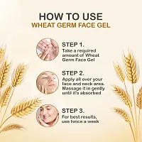 Nuerma Science Wheat Germ Face Gel for Acne, Scars  Pimples  Glowing Skin Enriched W/ Witch Hazel  Pure Aloe Vera - 200 GM-thumb2