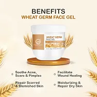 Nuerma Science Wheat Germ Face Gel for Acne, Scars  Pimples  Glowing Skin Enriched W/ Witch Hazel  Pure Aloe Vera - 200 GM-thumb3