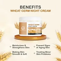 Nuerma Science Wheatgerm Night Cream Enrich with Aloe Vera, Vitamin E Oil, Argan Oil  Other  50 GM-thumb1
