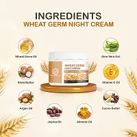 Nuerma Science Wheatgerm Night Cream Enrich with Aloe Vera, Vitamin E Oil, Argan Oil  Other  50 GM-thumb2