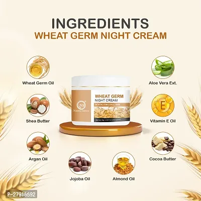Nuerma Science Wheatgerm Night Cream Enrich with Aloe Vera, Vitamin E Oil, Argan Oil  Other  50 GM-thumb3