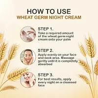 Nuerma Science Wheatgerm Night Cream Enrich with Aloe Vera, Vitamin E Oil, Argan Oil  Other  50 GM-thumb3