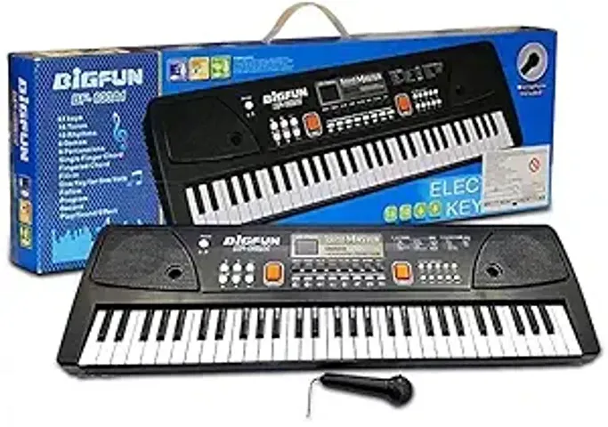 Hot Selling Musical Toys 