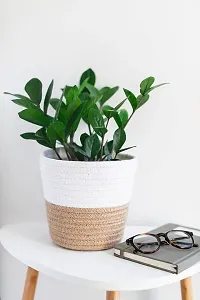 VANU? Jute Planter Pots/Storage Basket with handle, Multi-Purpose use for Bathroom Living Room-thumb3