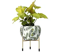 Designer Rust Free Metal Plants Pots with Stand for Indoor/Outdoor-thumb1