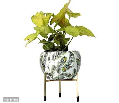 Designer Rust Free Metal Plants Pots with Stand for Indoor/Outdoor-thumb2