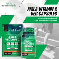 NourishVitals Amla Vitamin C with Tannins, 60 Veg Capsules (Pack Of 2)-thumb2